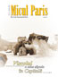Micul Paris