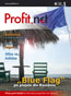 Profit Net